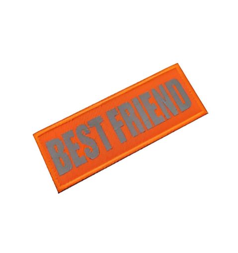 Picture of BEST FRIEND 